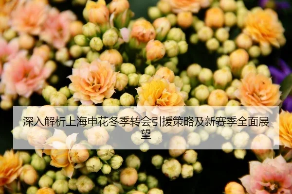 深入解析上海申花冬季转会引援策略及新赛季全面展望（NG28）